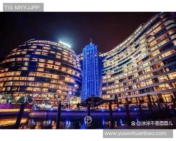 南京飞盘队运营分析：成功经验与面临挑战的深度探讨