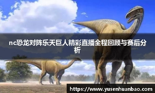 完美体育平台